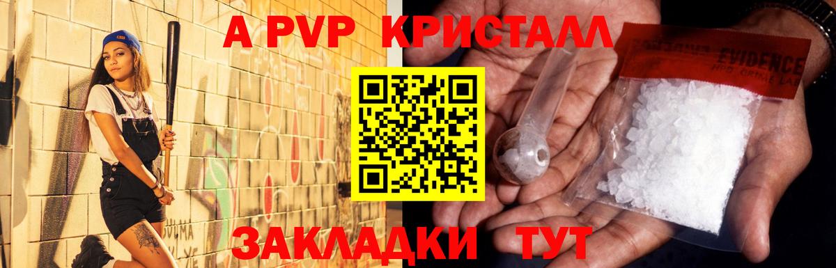 где купить наркоту  Alfa_PVP кристаллы  Вход с VPN  Alpha PVP СК КРИС  Кингисепп  А ПВП 