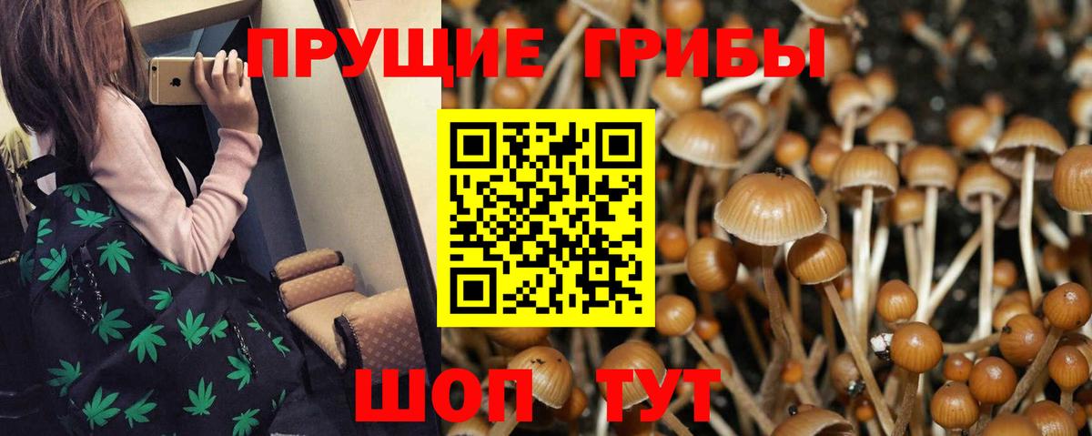 цены наркотик  Галлюциногенные грибы ЛСД  Вход с VPN  Кингисепп 